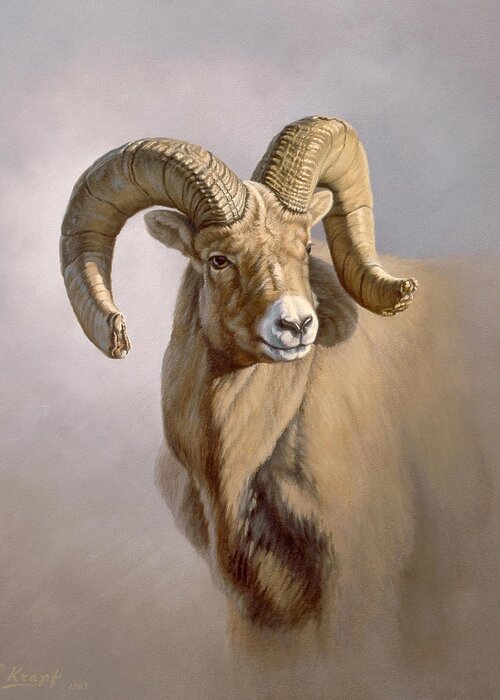 Wildlife Greeting Card featuring the painting Ram Portrait by Paul Krapf