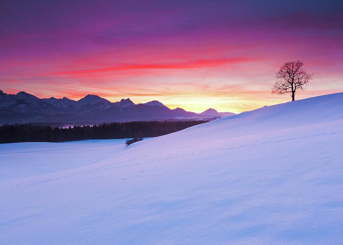 Tranquility Greeting Card featuring the photograph Ramtic Sunset In Bavaria, Germany by Ingmar Wesemann