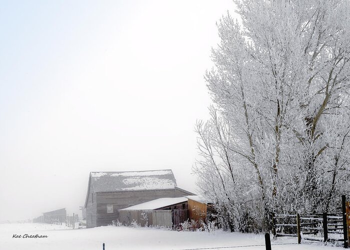 Barn Greeting Card featuring the photograph Ranch in Frozen Fog by Kae Cheatham