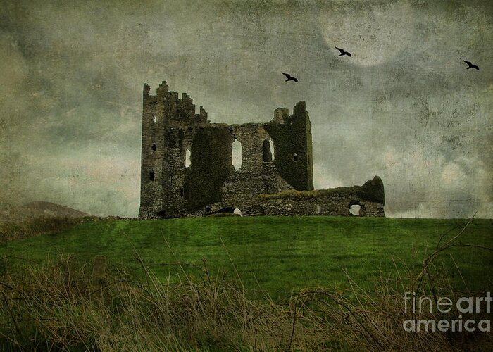 Raven Greeting Card featuring the photograph Raven's Castle by Terry Rowe