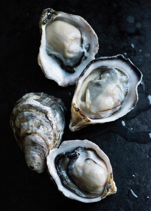 Oyster Greeting Card featuring the photograph Raw Oysters by Jack Andersen