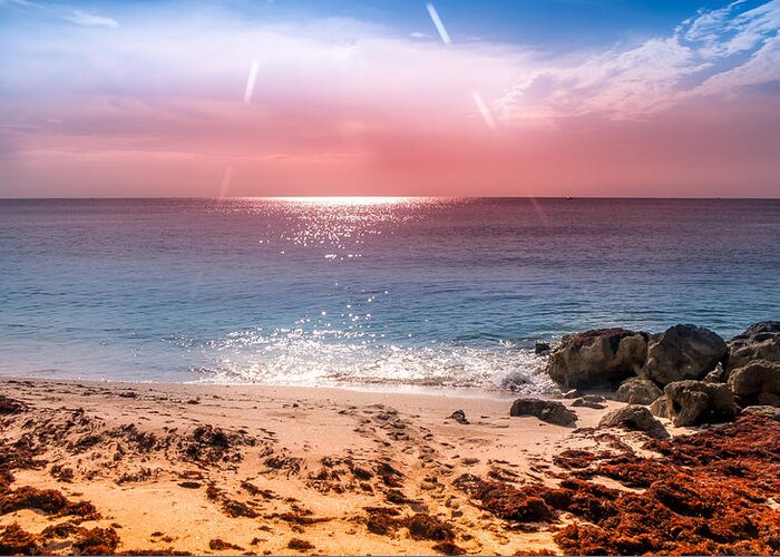 Florida Sunrise Greeting Card featuring the photograph Rays Of Light by Louis Ferreira