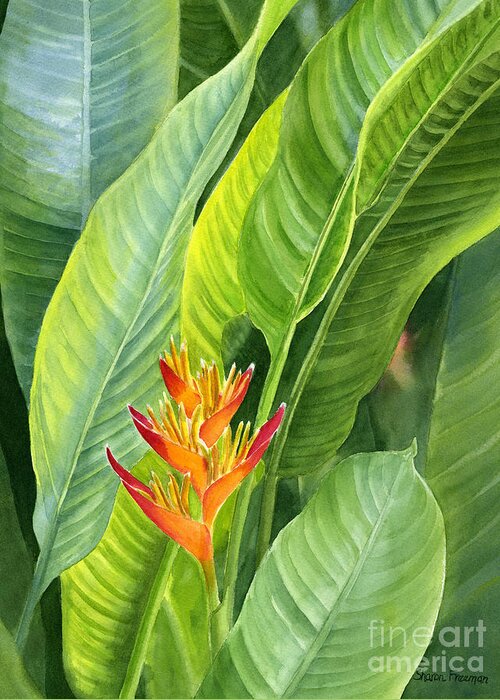 Red Greeting Card featuring the painting Red and Gold Heliconia by Sharon Freeman
