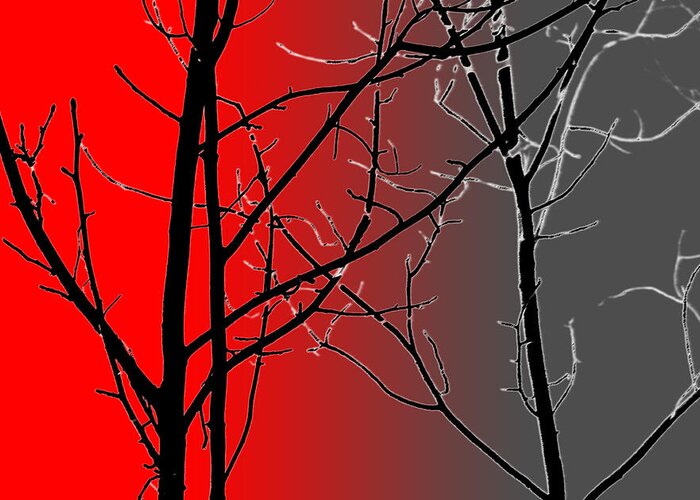 Branches Greeting Card featuring the photograph Red And Gray by Cynthia Guinn