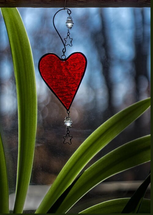 Heart Greeting Card featuring the photograph Red and Green by Wayne Meyer