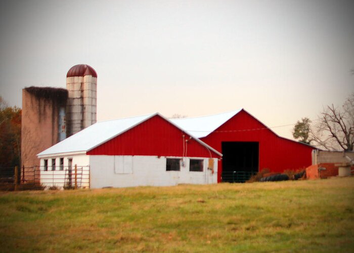 Barn Greeting Card featuring the photograph Red And White Barn by Cynthia Guinn