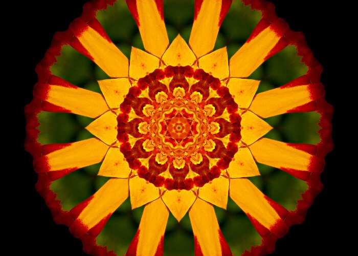 Flower Greeting Card featuring the photograph Red and Yellow Marigold V Flower Mandala by David J Bookbinder