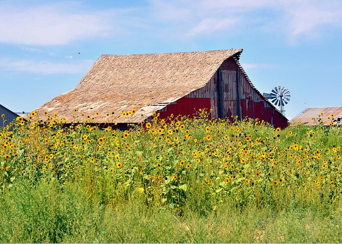 Red Barn In Summer Greeting Card featuring the photograph Red Barn In Summer by Clarice Lakota
