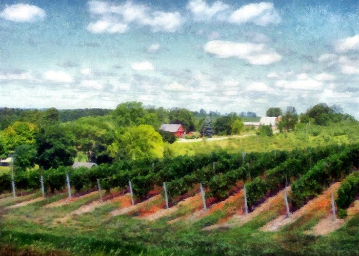 Vineyards Greeting Card featuring the photograph Red Barn on Old Mission Peninsula by Michelle Calkins