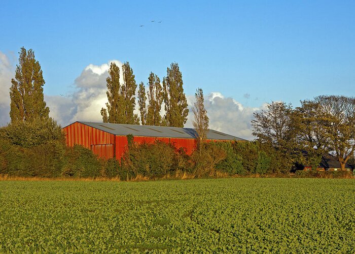Red Barn Greeting Card featuring the photograph Red Barn by Paul Scoullar