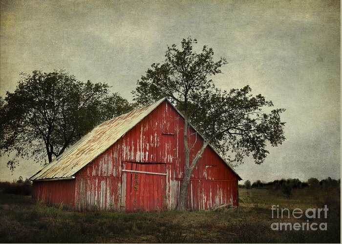 Red Barn With A Tree Greeting Card featuring the photograph Red barn with a tree by Elena Nosyreva