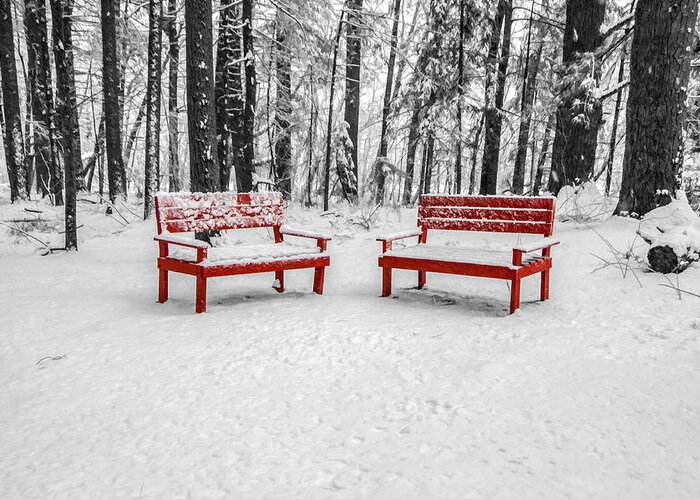 Trees Greeting Card featuring the photograph Red Benches by Cathy Kovarik