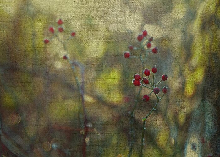 Red Greeting Card featuring the photograph Red Berries on Green After Frost by Brooke T Ryan