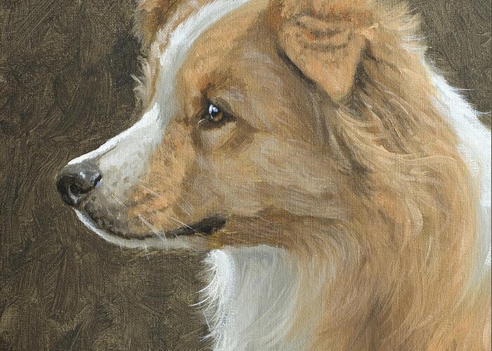 Border Collie Greeting Card featuring the painting Red Border Collie Portrait by John Silver