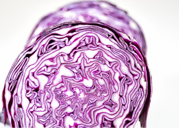 Food Greeting Card featuring the photograph Red cabbage by Paulo Goncalves