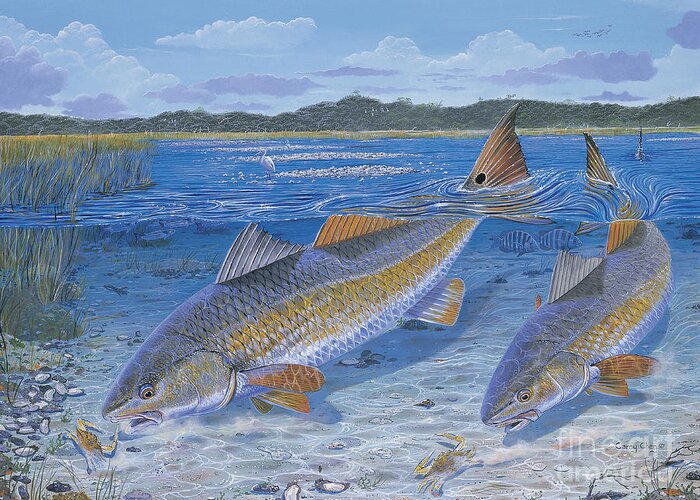 Redfish Greeting Card featuring the painting Red Creek In0010 by Carey Chen