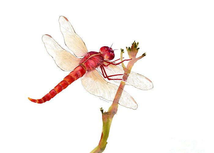 Red Greeting Card featuring the painting Red Dragonfly by Amy Kirkpatrick