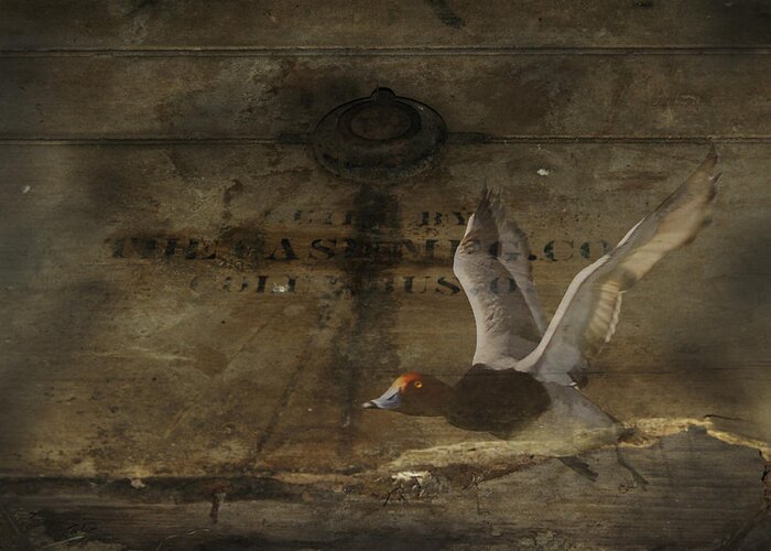  Greeting Card featuring the photograph Red Head Duck old Box by Randall Branham