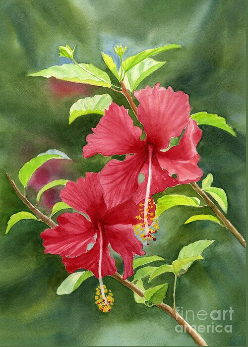Red Hibiscus Greeting Card featuring the painting Red Hibiscus with Background by Sharon Freeman