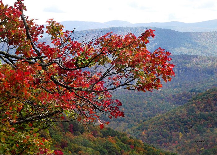 Landscapes. Printscapes Greeting Card featuring the photograph Red leaves in the Blueridge by Duane McCullough