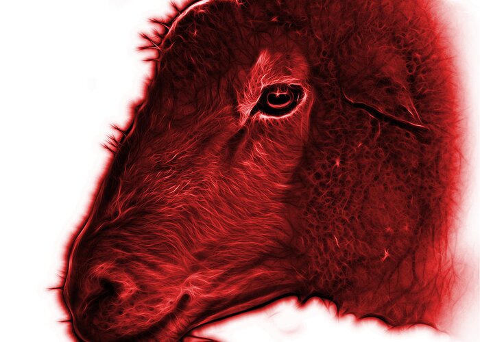 Sheep Greeting Card featuring the digital art Red Polled Dorset Sheep - 1643 FS by James Ahn