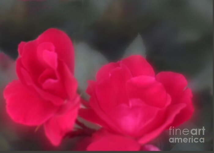  Floral Greeting Card featuring the photograph Red Rose Harmony by Mary Lou Chmura