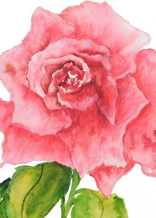 Red Rose Greeting Card featuring the painting Red Rose by Sally Quillin