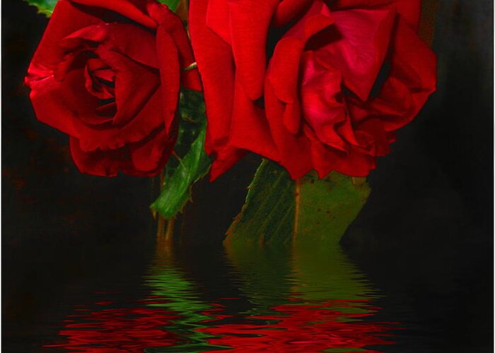 Red Greeting Card featuring the photograph Red Roses Reflected by Joyce Dickens