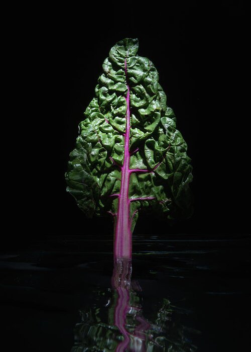Black Background Greeting Card featuring the photograph Red Swiss Chard Leaf by Pm Images