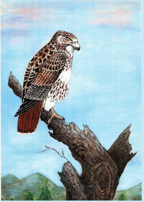Hawk Greeting Card featuring the painting Red Tailed Hawk by VLee Watson