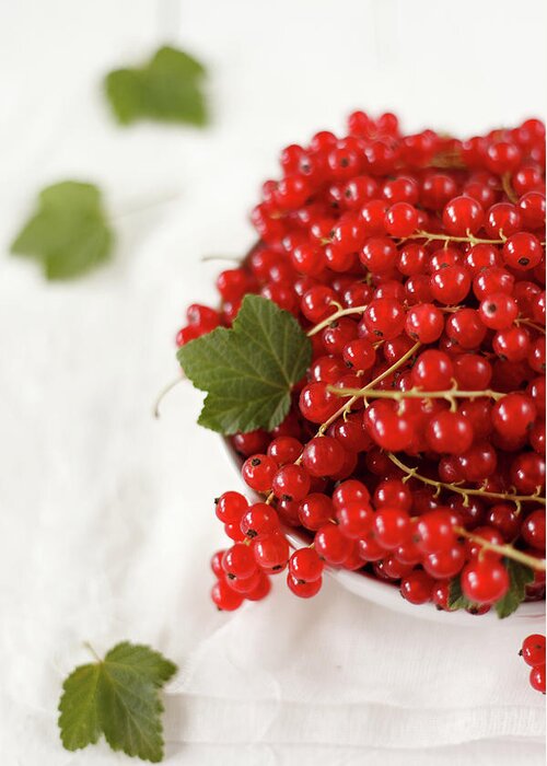 Red Currant Greeting Card featuring the photograph Redcurrants by Alena Kogotkova