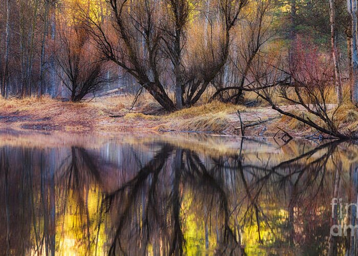 Yosemite Greeting Card featuring the photograph Reflections by Anthony Michael Bonafede