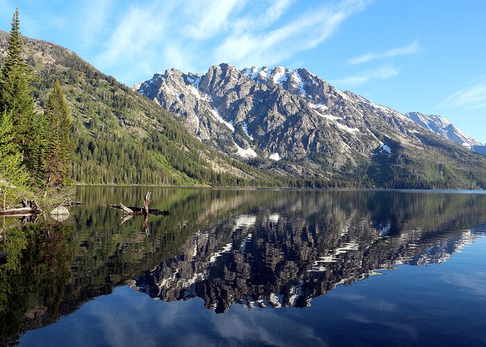 Lake Greeting Card featuring the photograph Reflections in the South end of Jenny Lake by George Jones
