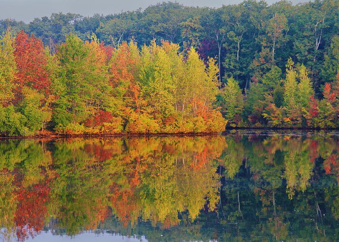 Fall Greeting Card featuring the photograph Reflections of Fall by Roger Becker