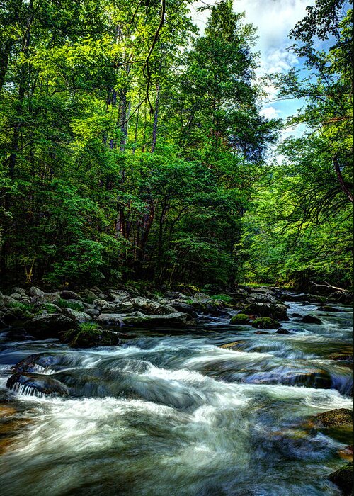 Smoky Mountains Greeting Card featuring the photograph Refreshing Morning Along The River by Michael Eingle