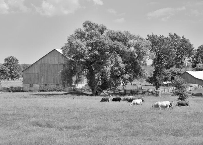 Barn Greeting Card featuring the photograph Reive Blvd Barn 15059b by Guy Whiteley