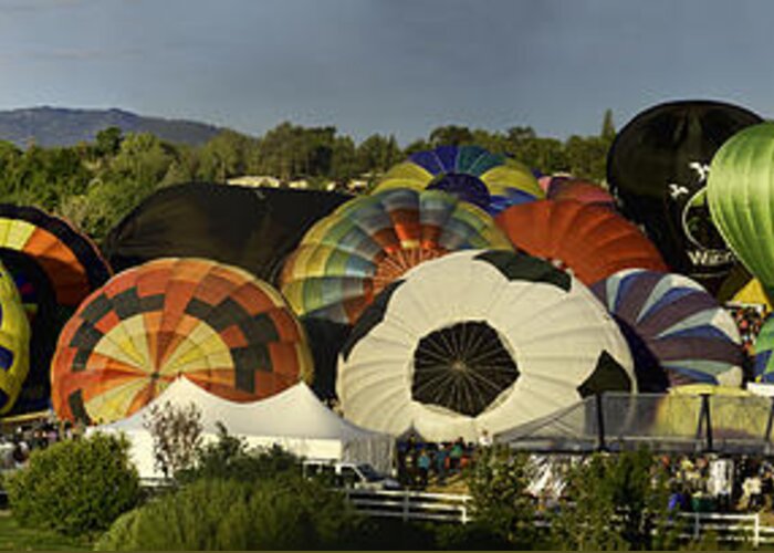 Balloons Greeting Card featuring the photograph Reno Balloon Race Panorama by Mark Harrington