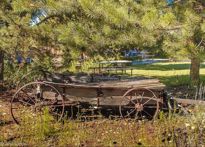 Agriculture Greeting Card featuring the photograph Retired Wagon at Thousand Trails by Bob and Nadine Johnston