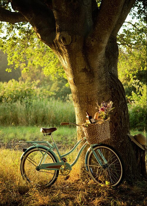 Grass Greeting Card featuring the photograph Retro Bicycle With Red Wine In Picnic by Nightanddayimages