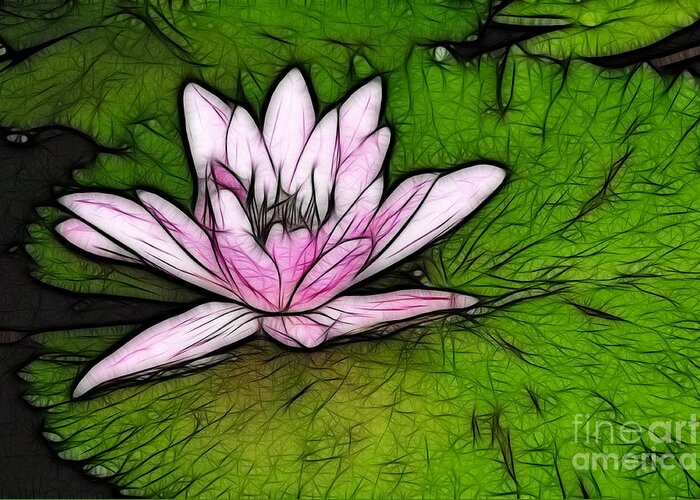 Water Greeting Card featuring the photograph Retro Water Lilly by Bob Christopher