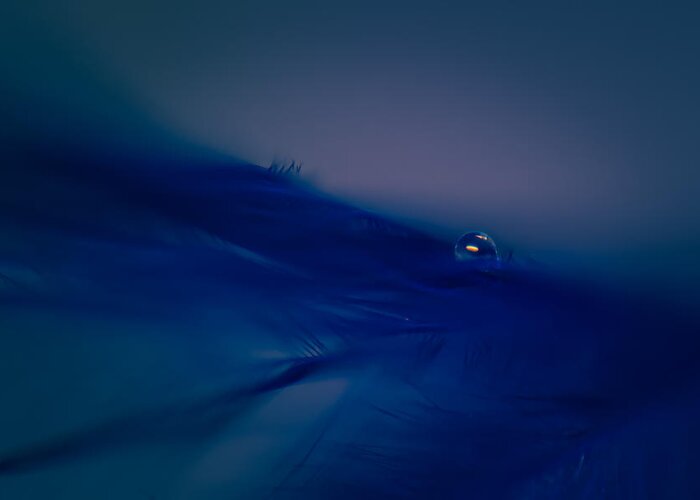 Abstract Greeting Card featuring the photograph Rhapsody in Blue by Lauri Novak