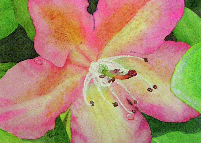 Flower Greeting Card featuring the painting Rhodie with Dew II by Lynn Quinn