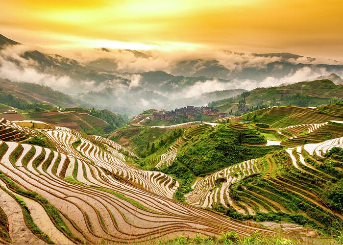 Chinese Culture Greeting Card featuring the photograph Rice Terraces by Luxizeng