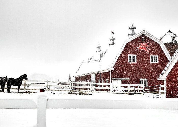 Barn Greeting Card featuring the photograph Riding out the Storm by Brenda Giasson