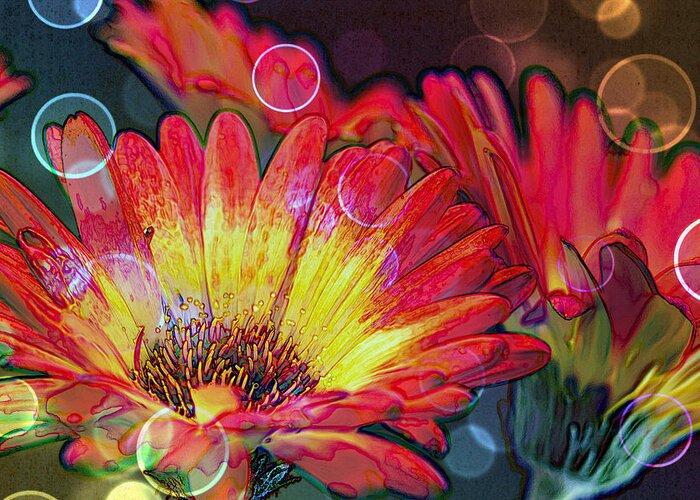 Daisy Greeting Card featuring the photograph Righteous Rainbow Blooms by Bill and Linda Tiepelman