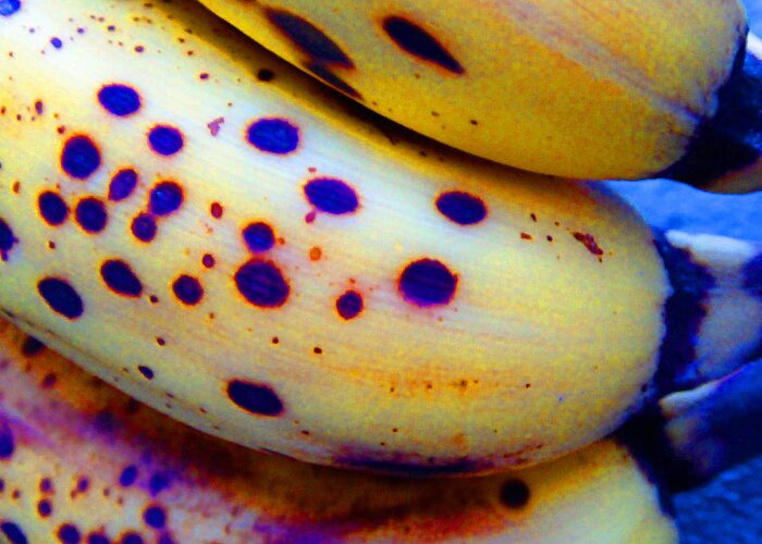 Fruit Greeting Card featuring the photograph Ripe Bananas by Laurie Tsemak