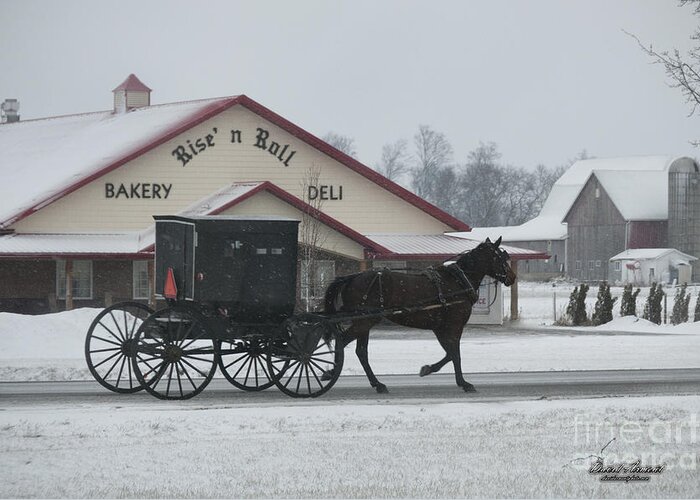 Amish Greeting Card featuring the photograph Rise n Roll Buggy by David Arment