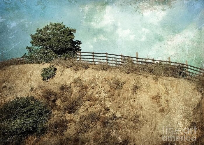Landscapes Greeting Card featuring the photograph Rising Above by Ellen Cotton