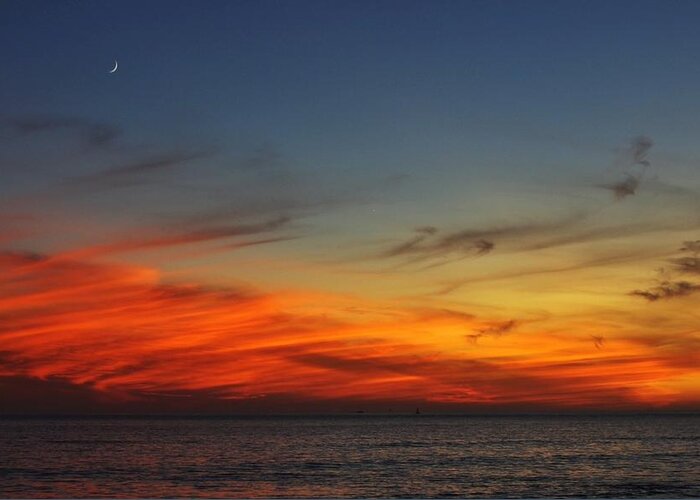 Sunset Greeting Card featuring the photograph Rising Moon by Dave Hall