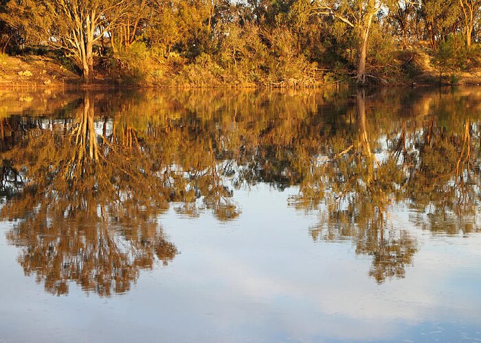 River Murray Australia Greeting Card featuring the photograph River Murray Reflections Early Evening by Carole-Anne Fooks